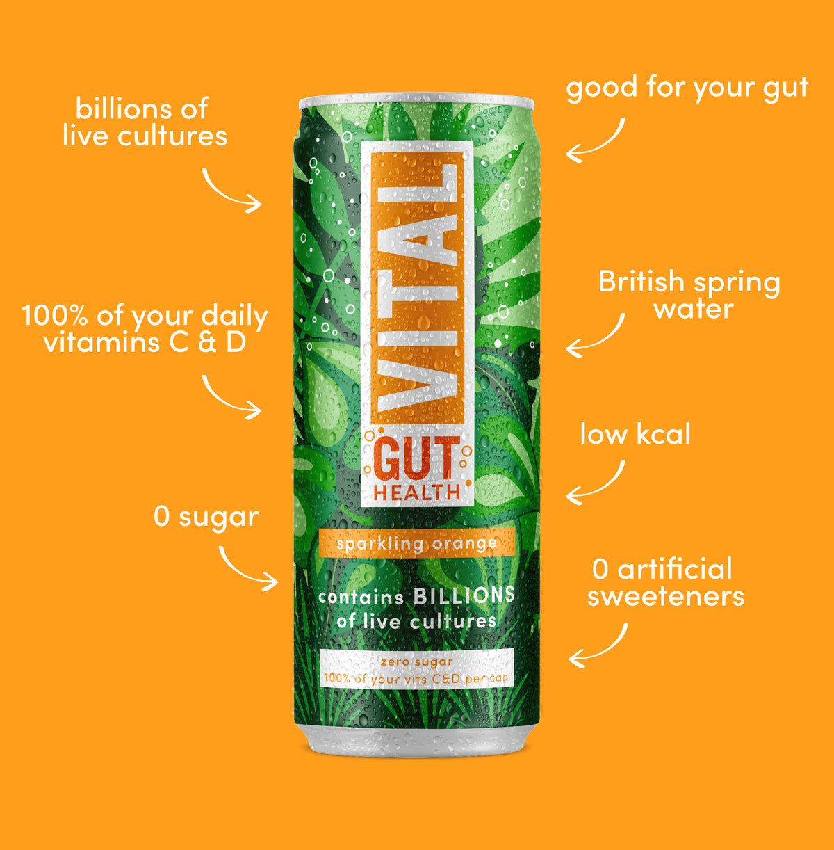 Orange gut health soda Vital Drinks